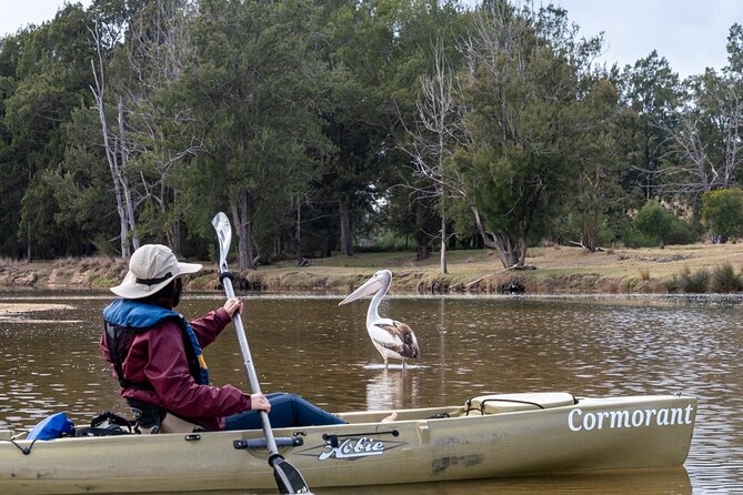 Bega River Kayaking Tour - Booking and Support