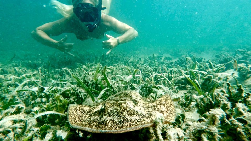 Beginner Jet Snorkel Tour With Videos - West Palm Beach - Reservation and Payment Options