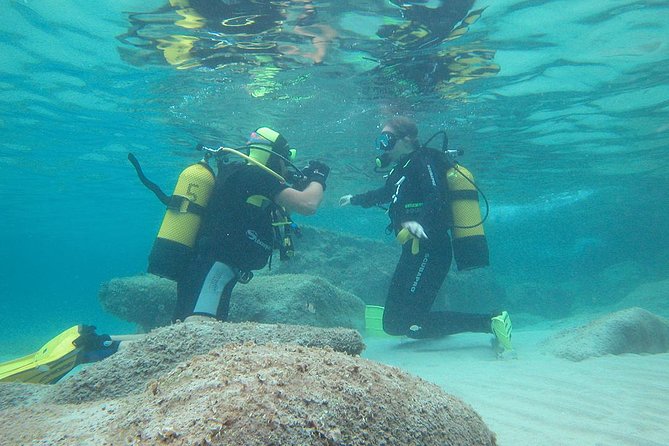 Beginners Diving in Santa Ponsa - Diving Experience Expectations