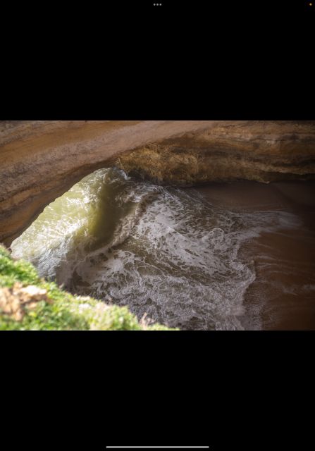 Benagil Guided Hiking & Jeep Tour (Seven Hanging Valleys) - Flora and Fauna Encountered