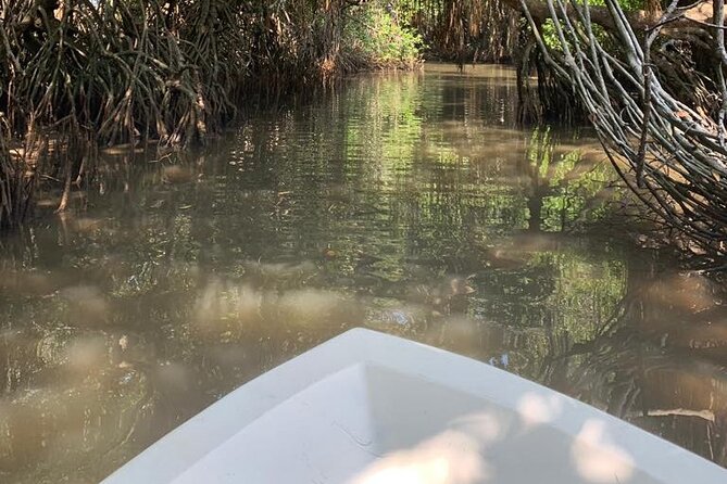 Bentota River Mangrove Forest Boat Trip (Private Tour)  - Kalutara - Last Words