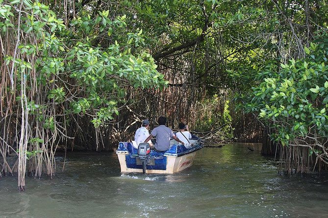 Bentota River Safari By BTM (Mangrove & Wildlife Encounter) - Additional Features and Benefits