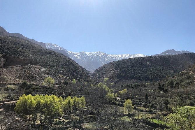 Berber Villages Trek Day Trip - Local Cultural Experiences