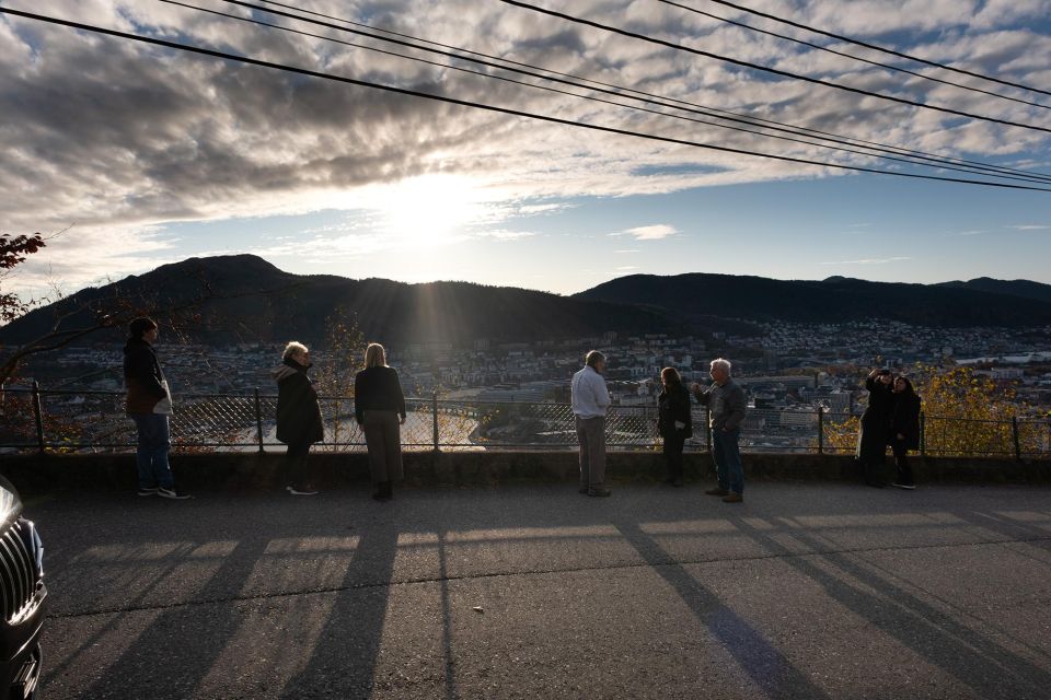 Bergen: Guided Minibus Tour With Photo Stops & Bryggen Tour - Accessibility Information