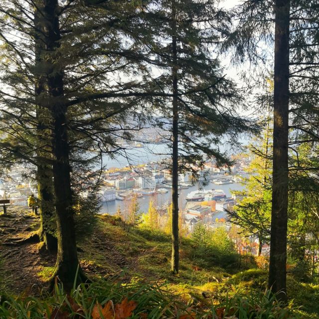 Bergen: Mountain Hike on Top of Bergen - Public Tour - Common questions