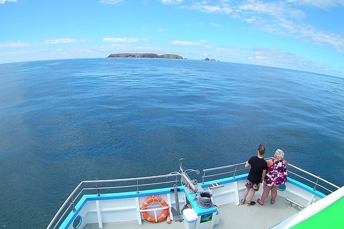 Berlengas Catamaran Tour - Additional Information