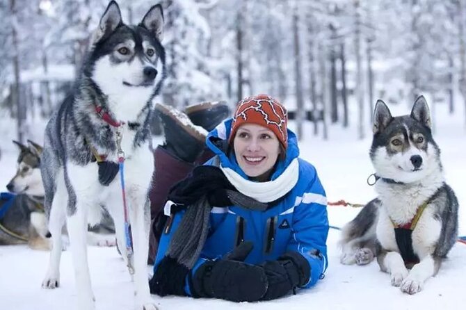 Best Husky Private Tour Rovaniemi - Last Words