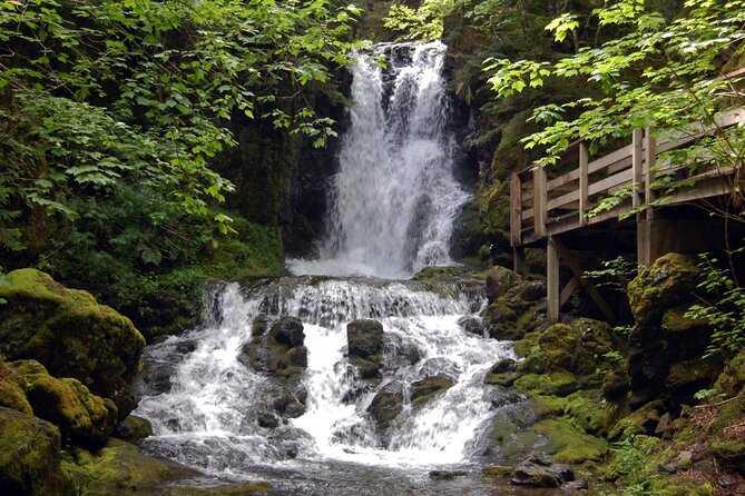 Best of Hopewell Rocks & Fundy National Park From Moncton - Must-See Attractions in the Region