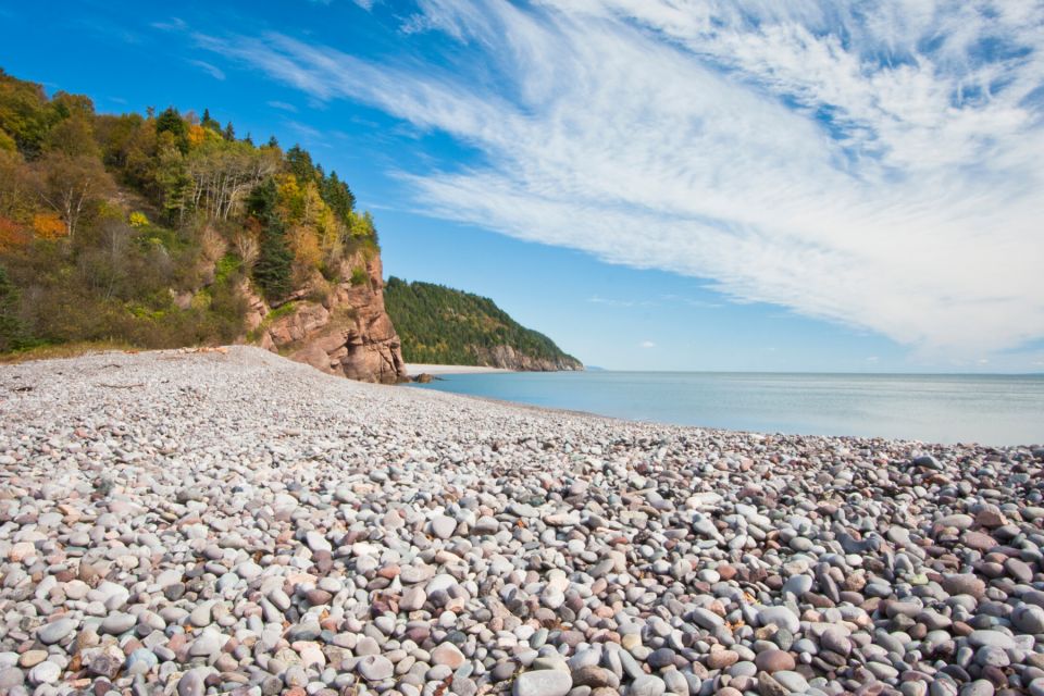 Best of Hopewell Rocks & Fundy National Park From Moncton - Tour Itinerary