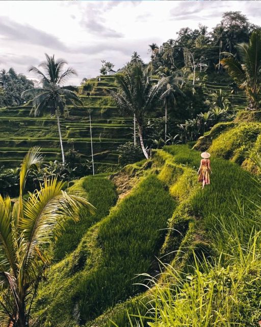 Best Ubud Waterfalls, Rice Terrace & Swing - Inclusive Tour - Inclusions