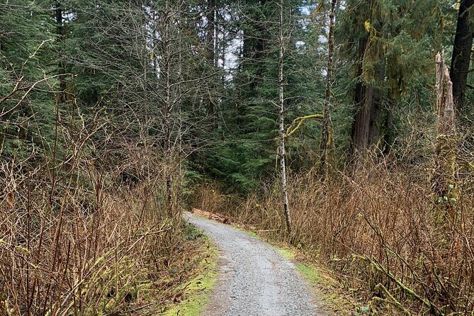 Bike/ E-bike North Vancouvers Seymour Demonstration Forest - Additional Information