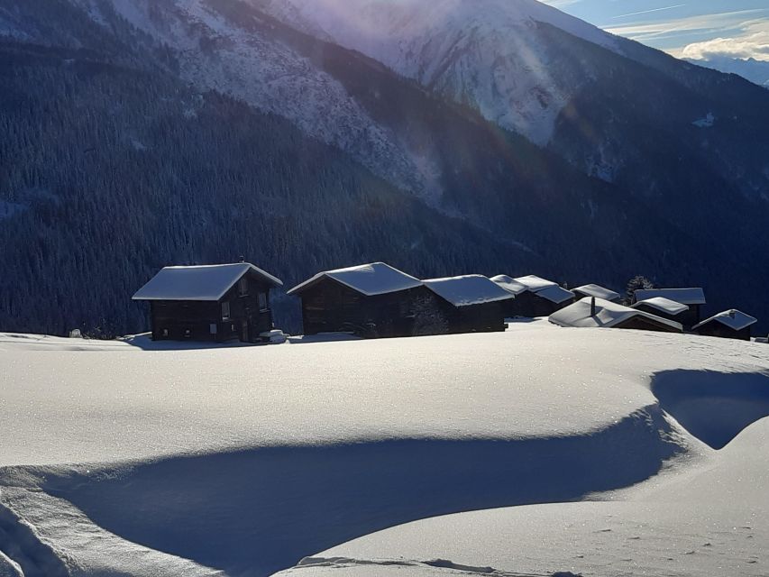 Binn: Avalanche Workshop for Snowshoe Tours - Detailed Description