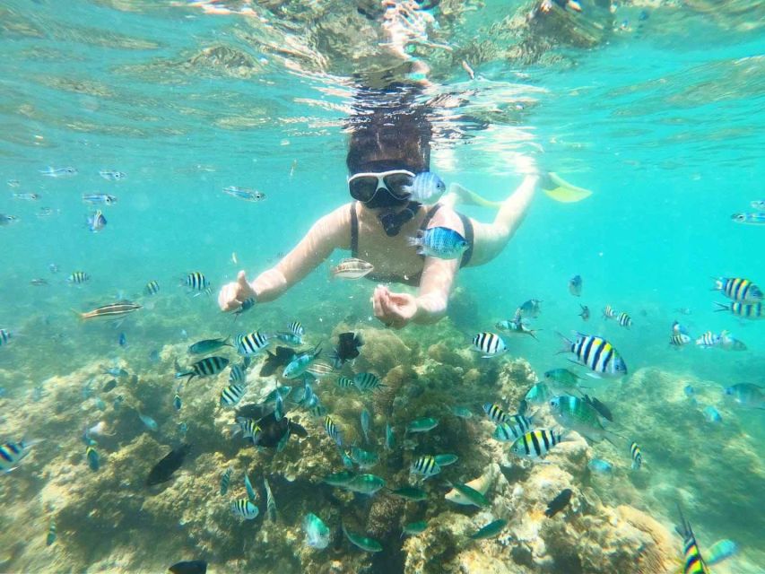 Bintan Snorkeling - Main Snorkeling Spot