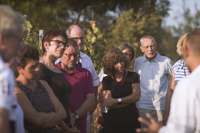 Biodynamic Wine Tasting With Producer in Vinci - Experience Expectations