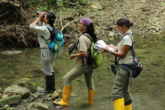 Bird Watching Tours With Sandra Plúa - Manabi, Ecuador - Reviews and Support