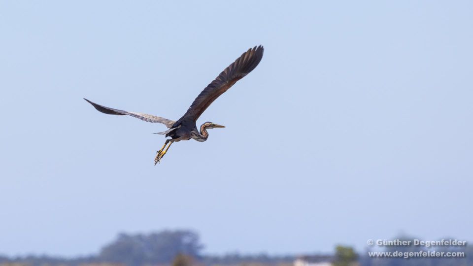 BirdWatching Tour Ria Aveiro - Common questions