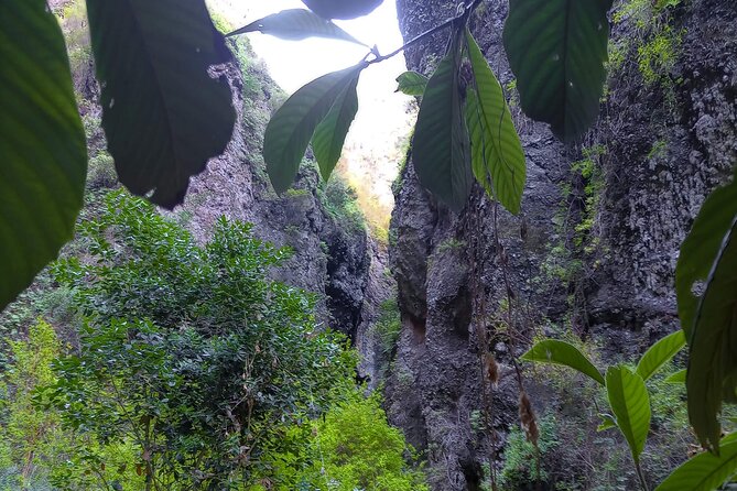 Black Caves, Jungles, Waterfalls - Visit the Secret Tenerife ! - Discovering Tenerifes Natural Wonders