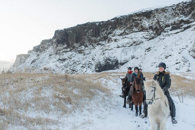 Black Sand Beach Horse Riding Tour From Vik - Participant Requirements