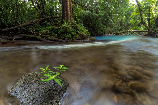 Blue River and Tenorio Volcano National Park Hike - Last Words