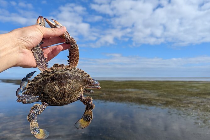 Blue Swimmer Crab Catch and Dine (At the Restaurant) - Restaurant Menu and Reservations