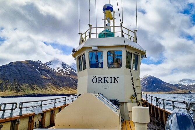 Boat Tours From Siglufjörður - Accessibility and Participant Information