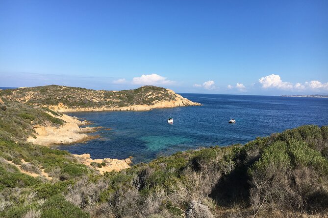 Boat Trip and Snorkeling in the Gulf of Calvi - Last Words