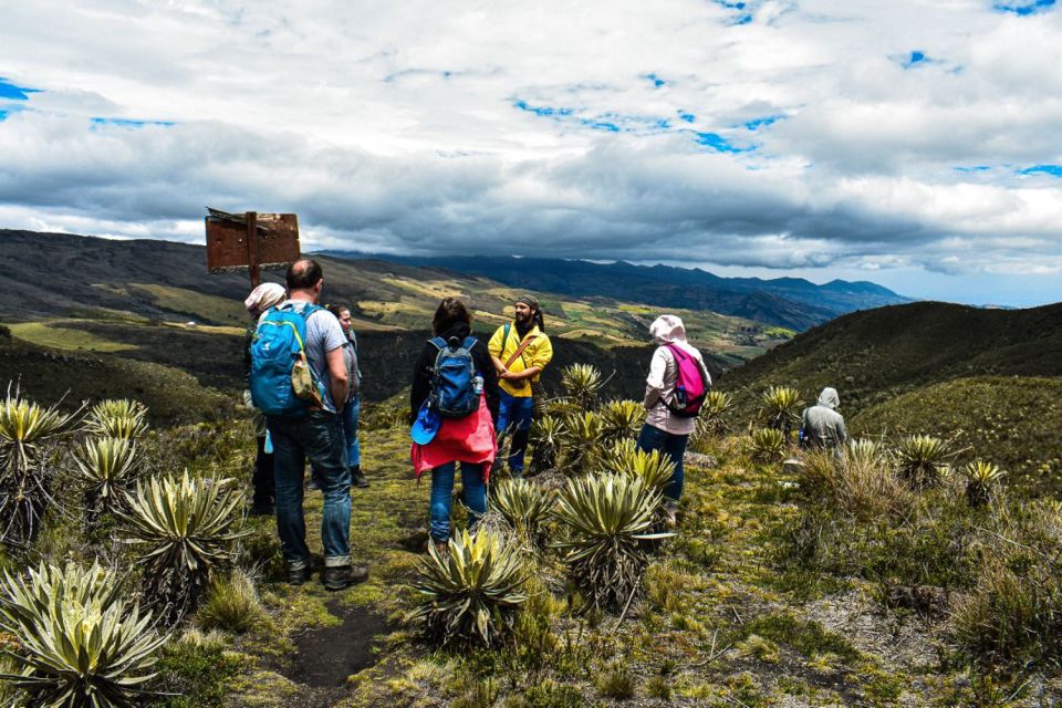 Bogotá: Sumapaz National Park Hike Tour With Lunch - Customer Reviews