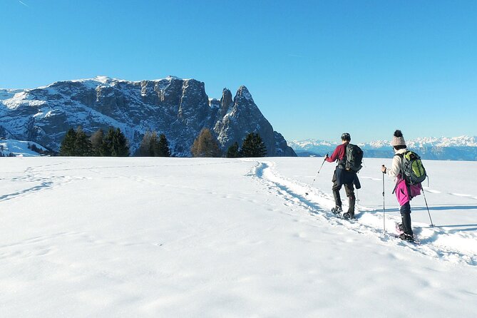 Bolzano Dolomites: Winter Hiking & Sledding Experience - Thrilling Sled Ride Down