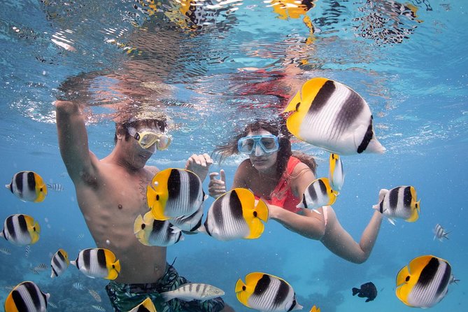 Bora Bora Jet Ski Tour, & Eco Shark / Ray Snorkel Cruise - Important Reminders for Participants