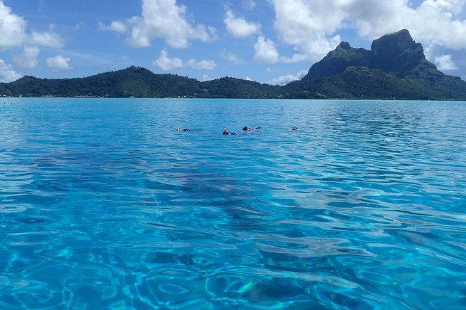 Bora Bora Private Full-Day Snorkeling Adventure - Reviews and Ratings