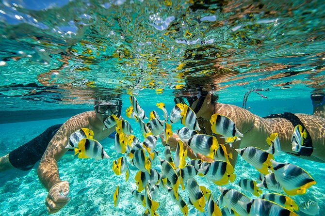 Bora Bora Private Half-Day Snorkeling With On-Board Lunch - Common questions