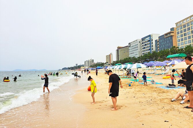 Boryeong Mud Festival Daecheon Beach Suspension Bridge Tour - Contact and Legal Details