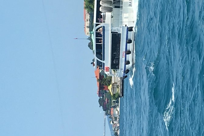 Bosphorus Cruise With Dolmabahçe Palace and Fortresses