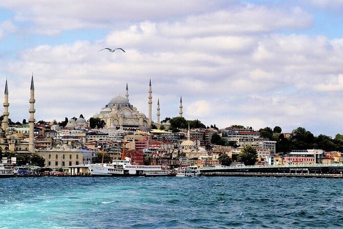 Bosphorus Morning, Afternoon & Sunset Cruise - Tour Operators Responsiveness and Praise