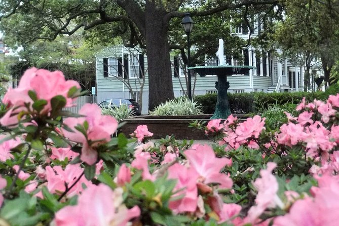 Botanical Tour (by Walk With Me Savannah Tours) - Memorable Experience Reviews