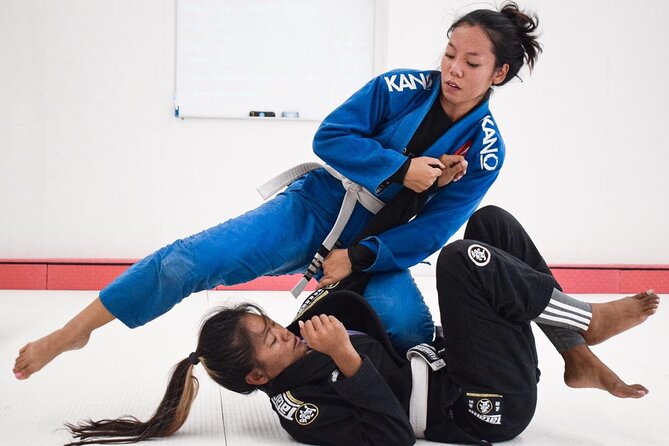 Brazilian Jiu-Jitsu Class Shared Experience - Partner Drills