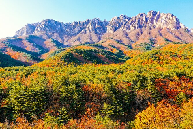 Breathtaking Autumn at Seoraksan National Park - Photography Tips for Autumn Scenery