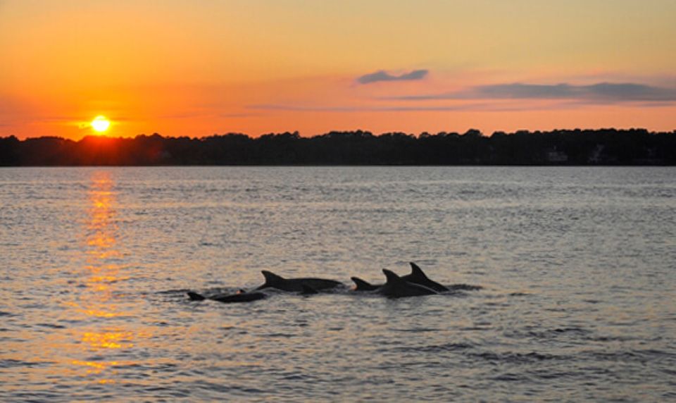 Brijuni Islands: Sunset & Dolphins Private Boat Tour - Tour Highlights