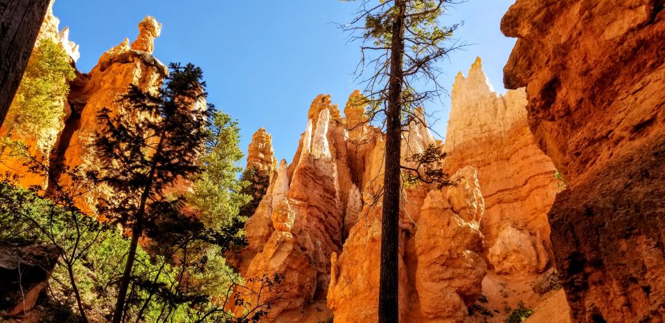 Bryce Canyon National Park Hiking Experience - Customer Reviews