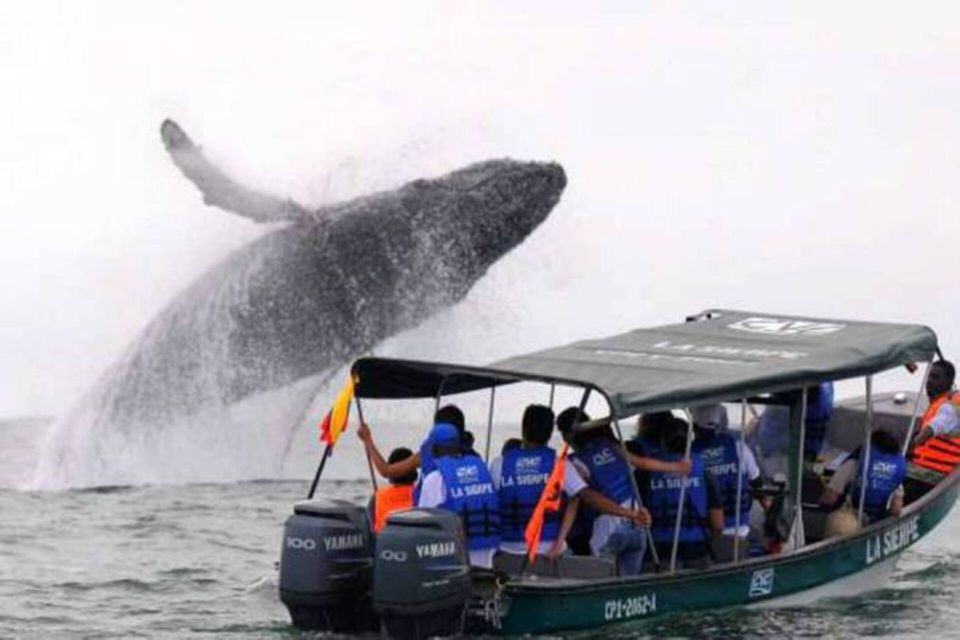 Buenaventura: Pacific Coast Whale Watching Tour - Natural Beauty Highlights