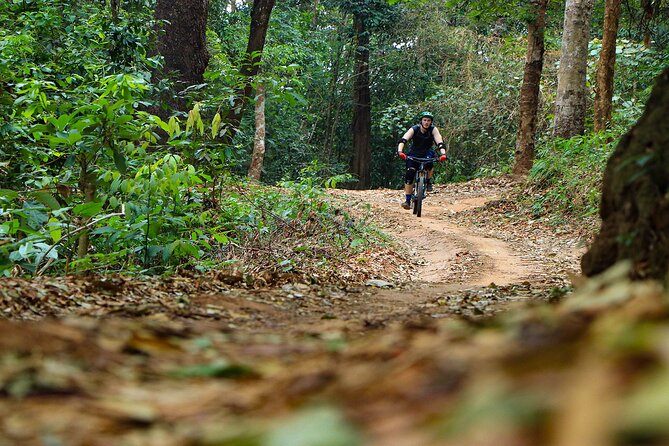 Buffalo Soldier Full Day Mountain Biking Tour Chiang Mai - Reviews and Ratings Overview