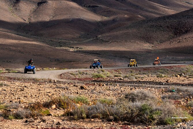 Buggy Safari in Caleta De Fuste - Last Words