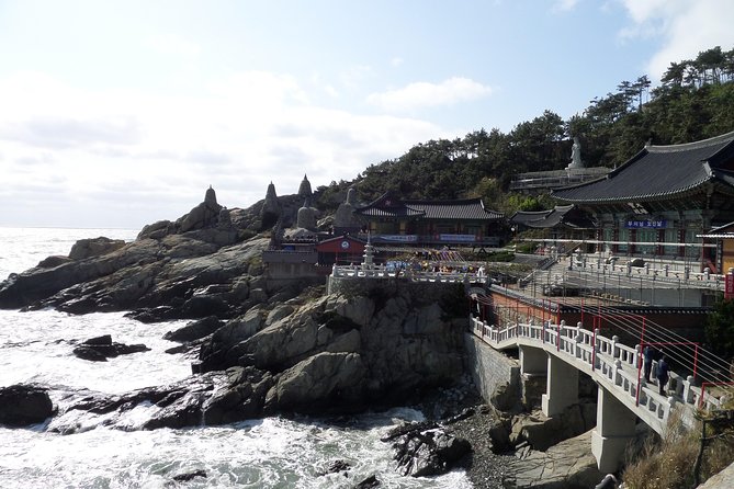 Busan City Tour - Haedong Yonggung Temple And Shopping in Lotte Premium Outlet - Dongbaek Island: Scenic Beauty and Relaxation