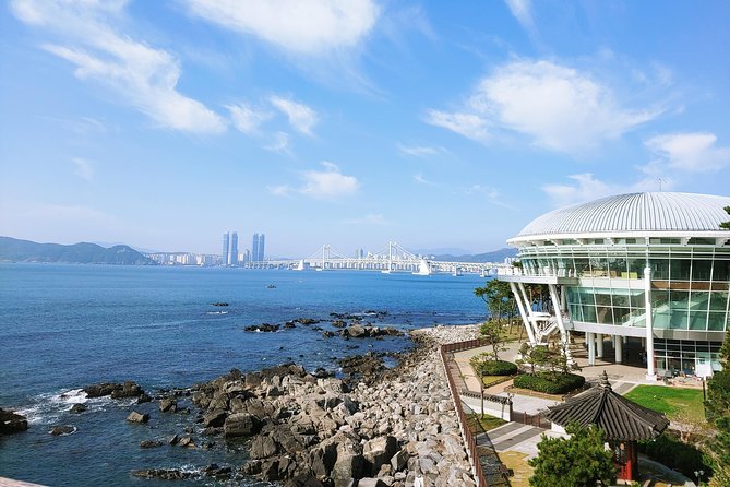 Busan Essential Private Tour With Heaedong Yonggungsa and Gamcheon Village - Traveler Experiences and Reviews