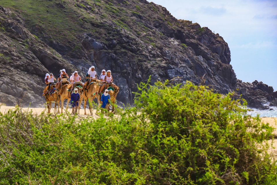 Cabo: ATV, Camel Ride, Mexican Lunch, and Tequila Combo Tour - Last Words