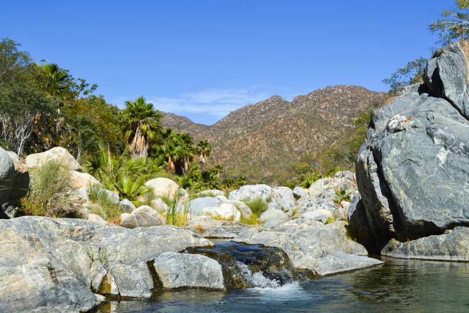Cabo: Fox Canyon Private Hiking Tour - Essential Items to Bring Along