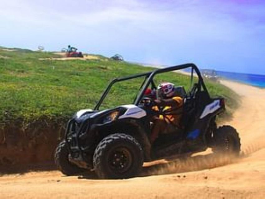 Cabo San Lucas: ATV Beach and Desert Adventure - Common questions