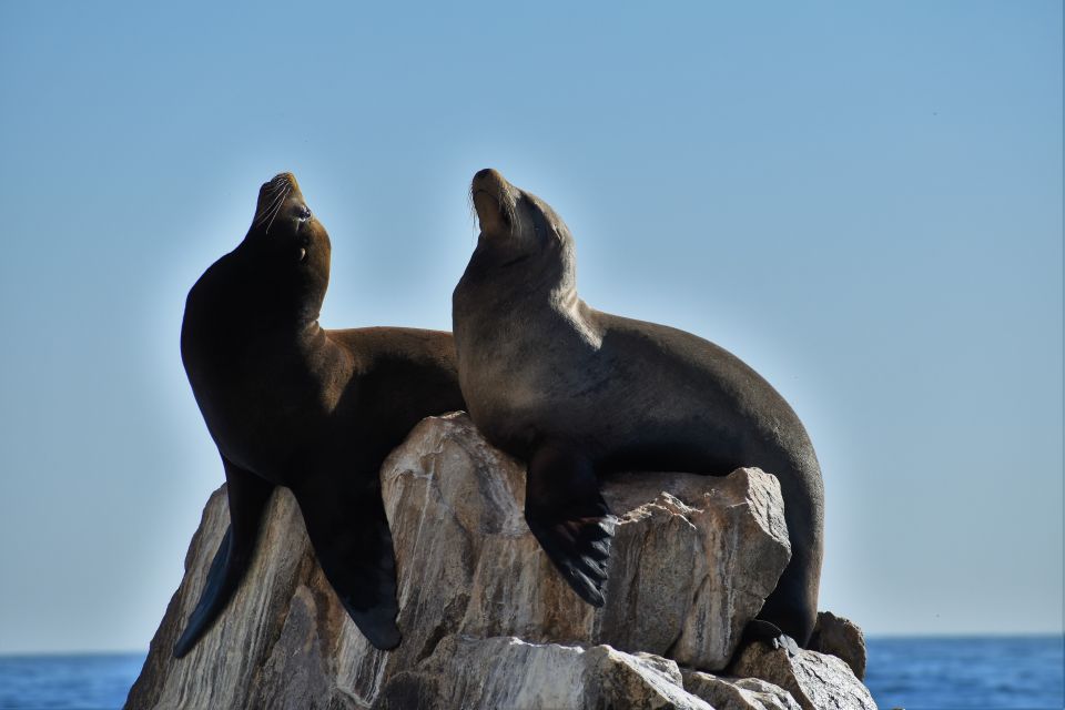 Cabo San Lucas: Boat Ride and Snorkeling Trip With Snacks - Location Details