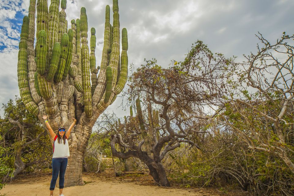 Cabo San Lucas: Camel Safari Tour With Lunch and Tequila - Review Summary