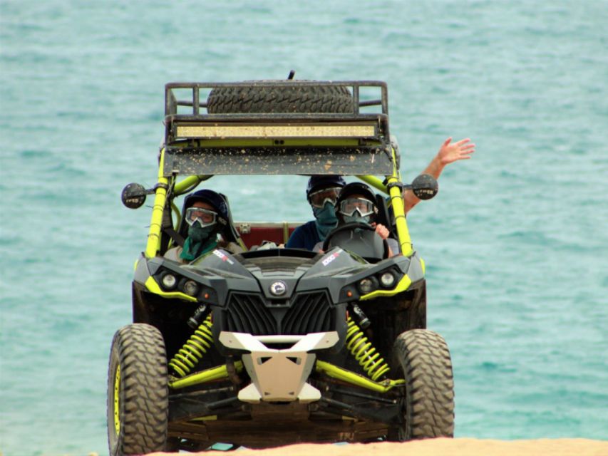 Cabo San Lucas: Combo Vehicle Plus Camel or Horse Tour - ATV and UTV Rides